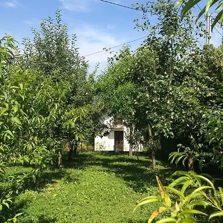Oaza Odmora Hedrovace Kod Maglaja - Vikendica Sa Bazenom Apartment Maglaj